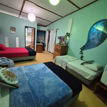 Cozy Hosting Galapagos Lägenhet Puerto Ayora  Exteriör bild