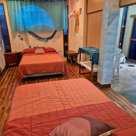 Cozy Hosting Galapagos Lägenhet Puerto Ayora  Exteriör bild