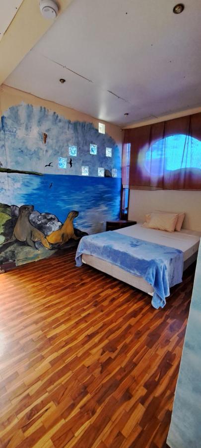 Cozy Hosting Galapagos Lägenhet Puerto Ayora  Exteriör bild